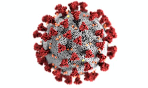 SIPS Virus Immune Program (VIP)